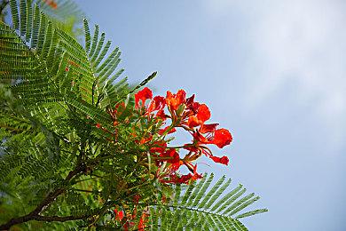 科幻冒险游戏《多重人生》中配预告 发售日期待定